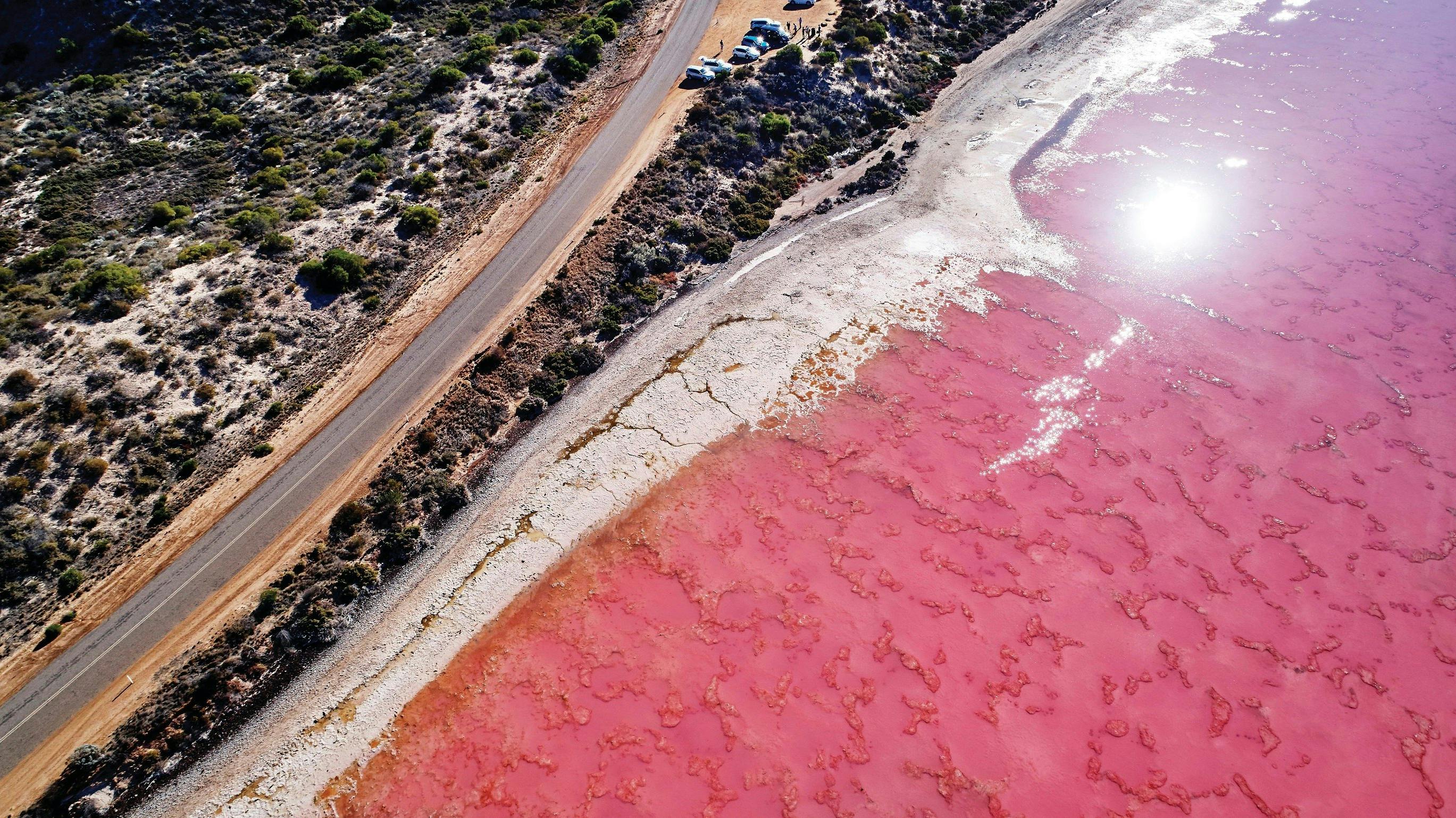 Can You Swim In The Pink Lake Port Gregory Hutt Lagoon Attraction Tourism Western Australia