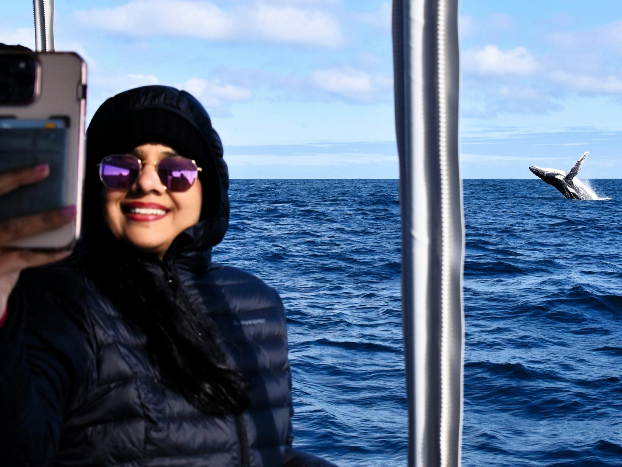Whale Watch Queensland Whale Watch Queensland