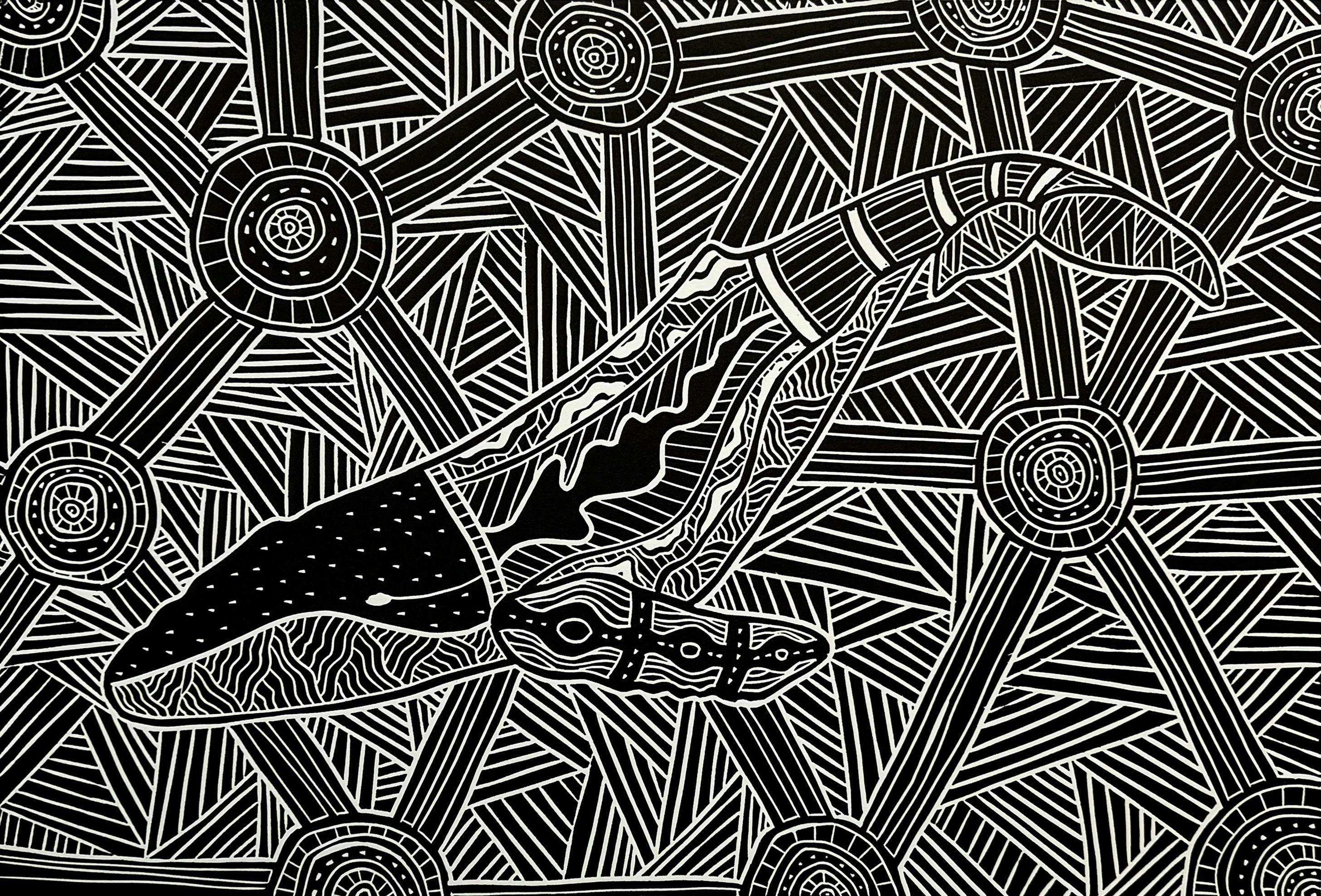 Creatures of the South Coast, Aaron Kennedy Exhibition
