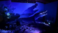 Marineland Melanesia Crocodile Habitat
