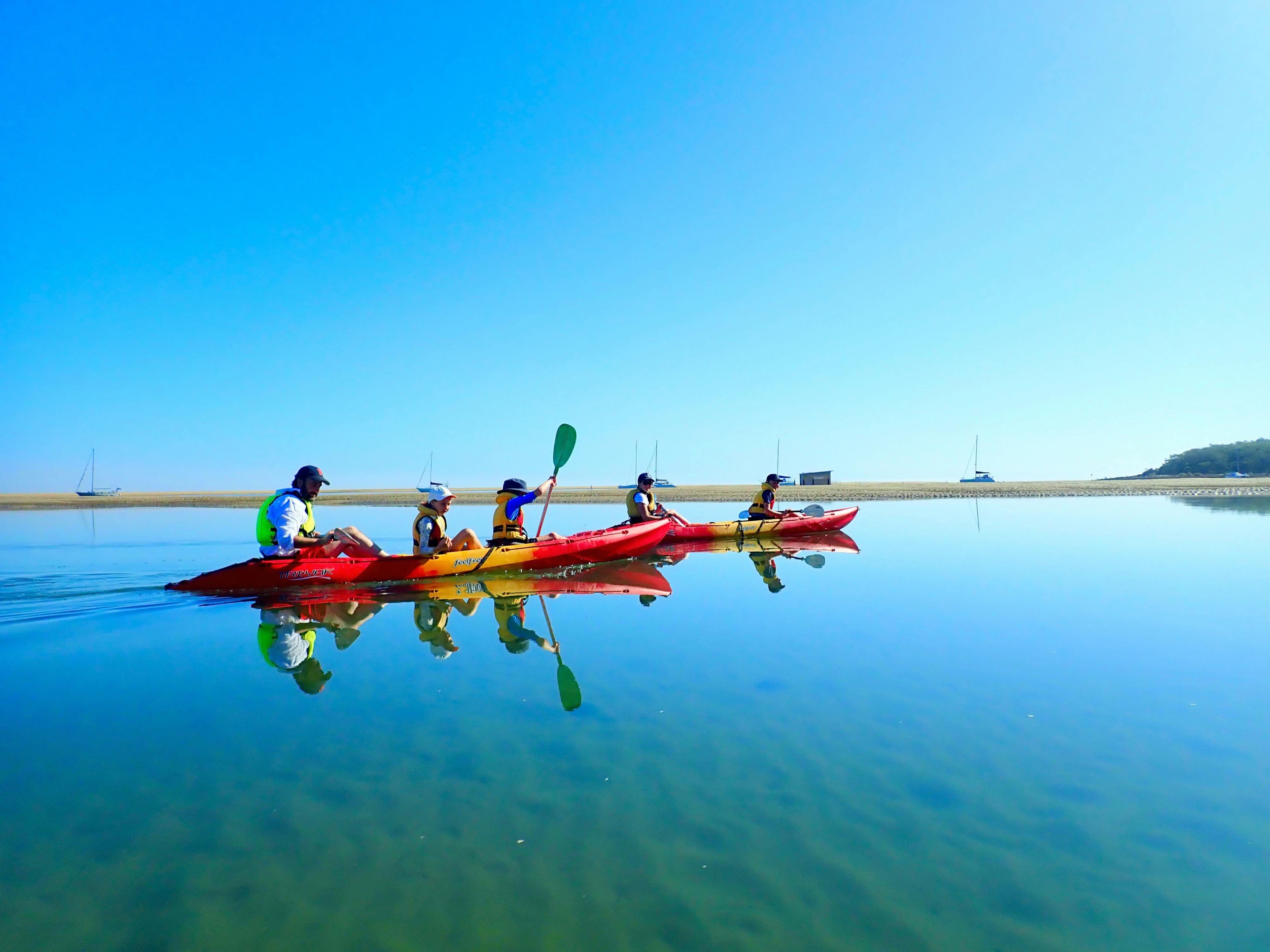 Discovering beautiful 1770 from a kayak with 1770 Liquid Adventures