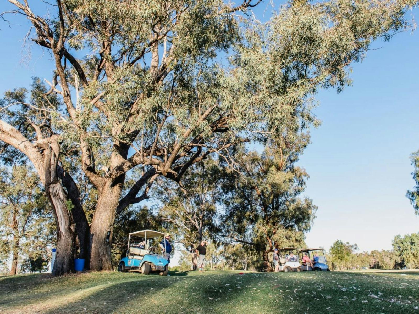 Golf cart parked under a tree while golfers tee off Golf cart parked under a tree while golfers tee off