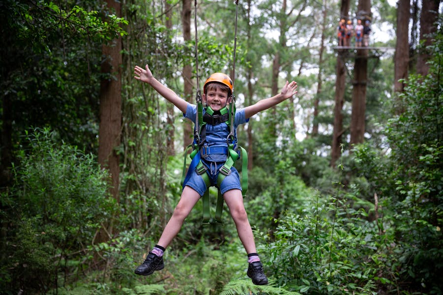 Boy on Zipline Tour