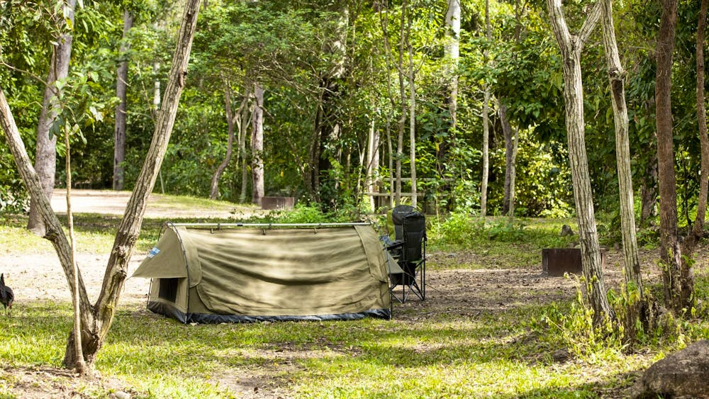 Mount Spec, Paluma Range National Park