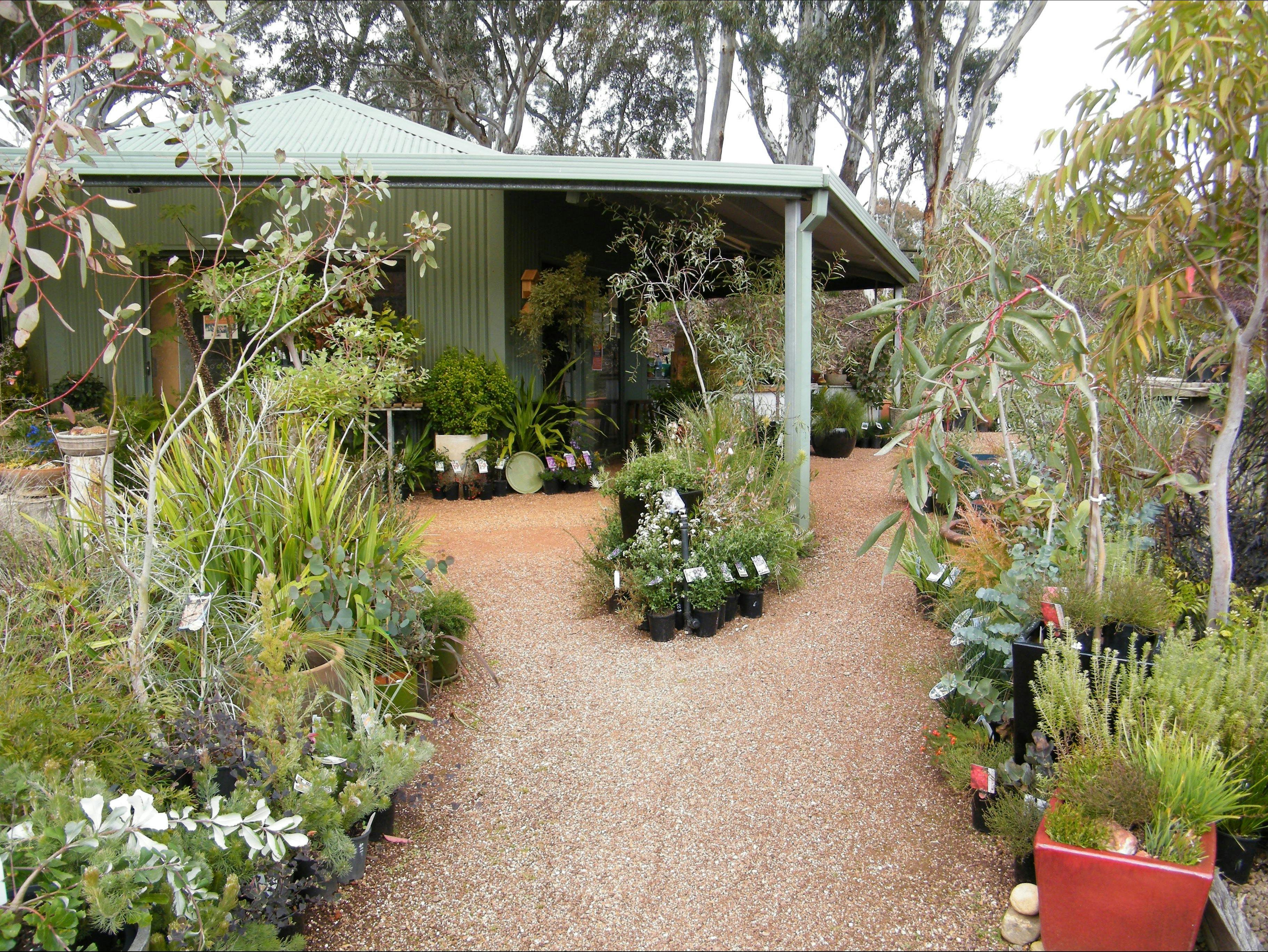 Goldfields Revegetation Native Nursery