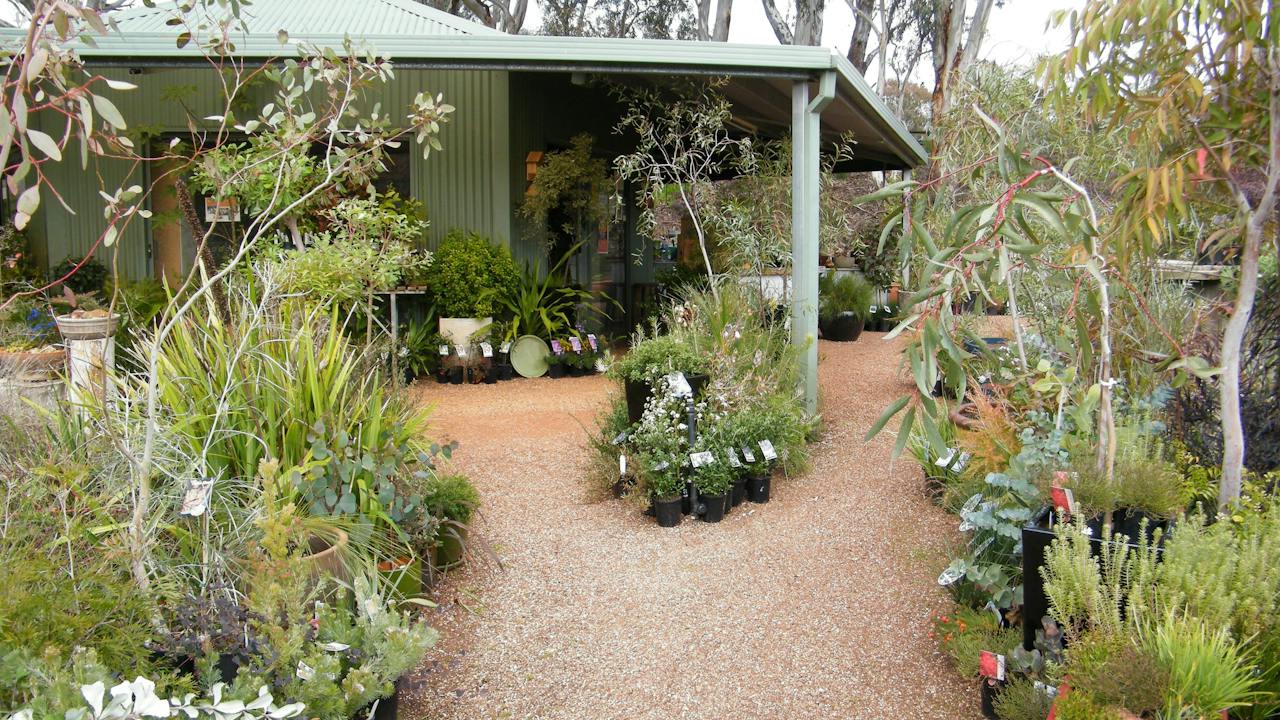 Display area in the nursery