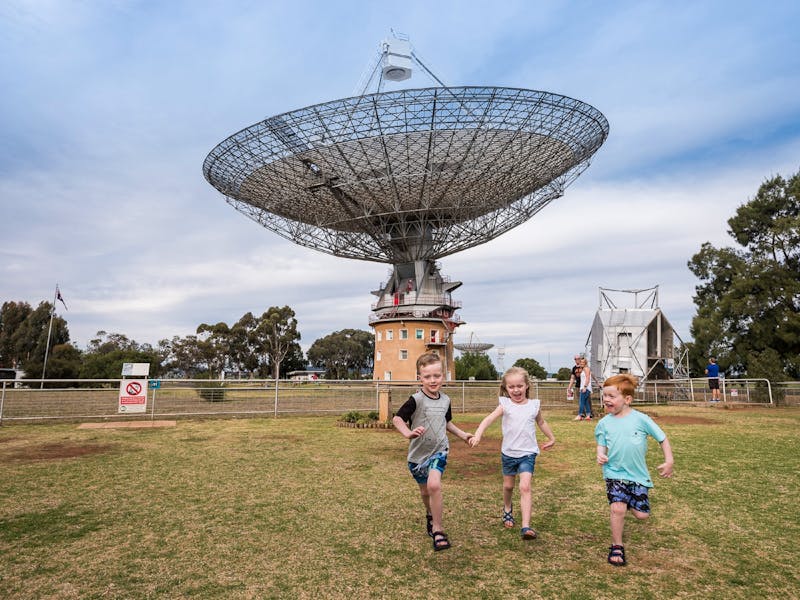 The Dish