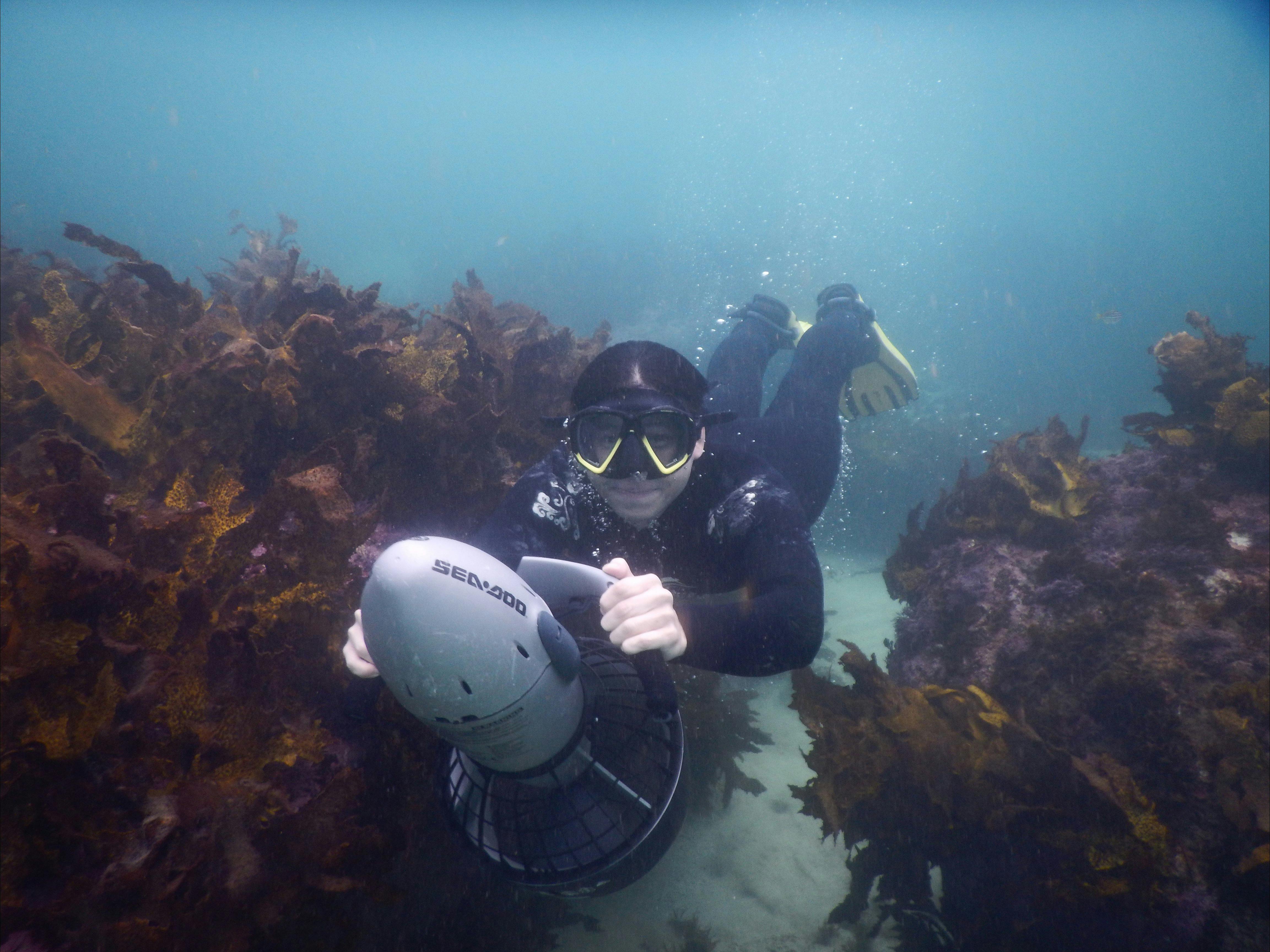 Sydney Underwater Scooter Tours