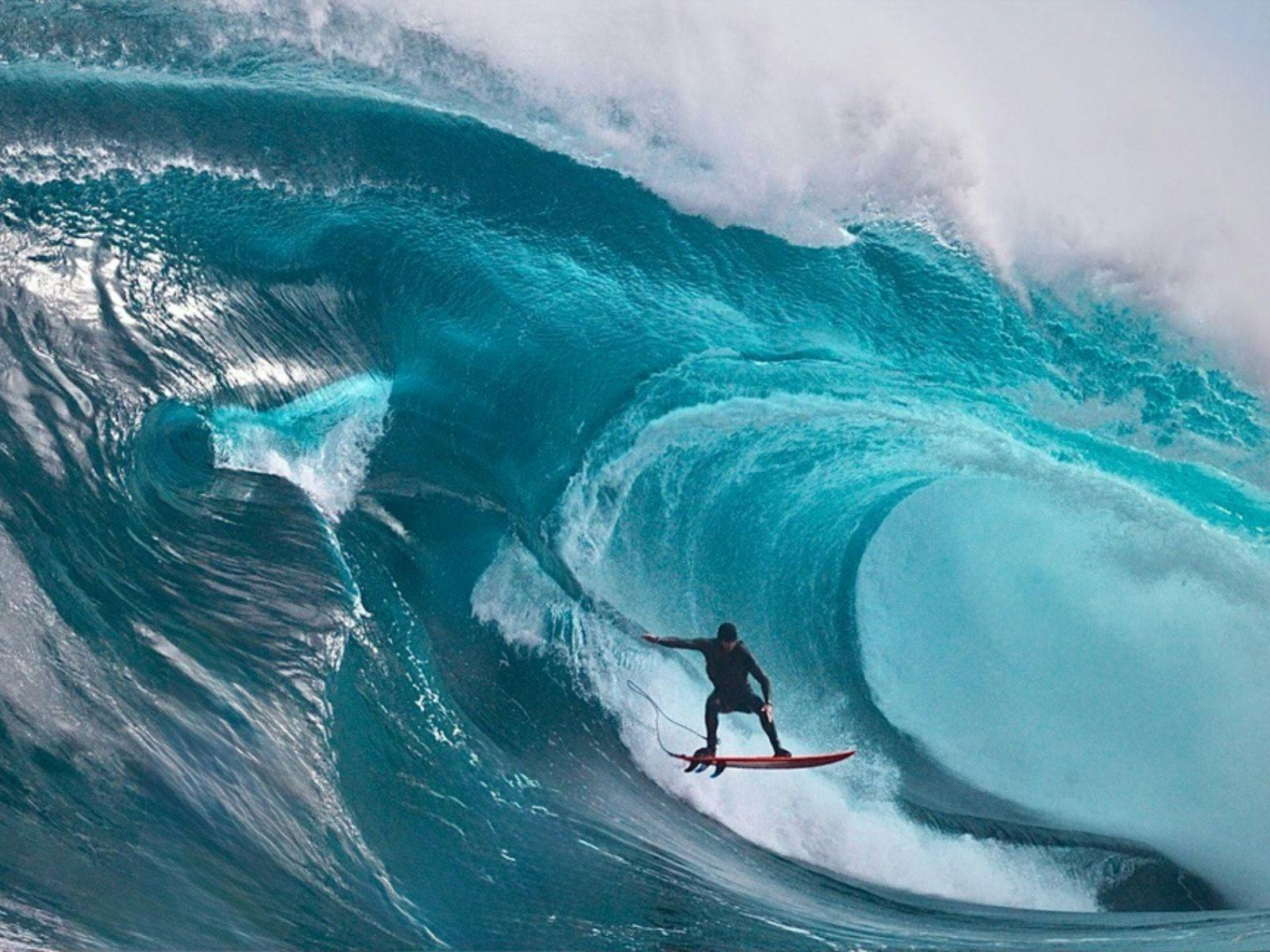 Big Ocean – Tim Bonython: Special Screening