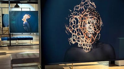 Feranda Pedroso exhibition