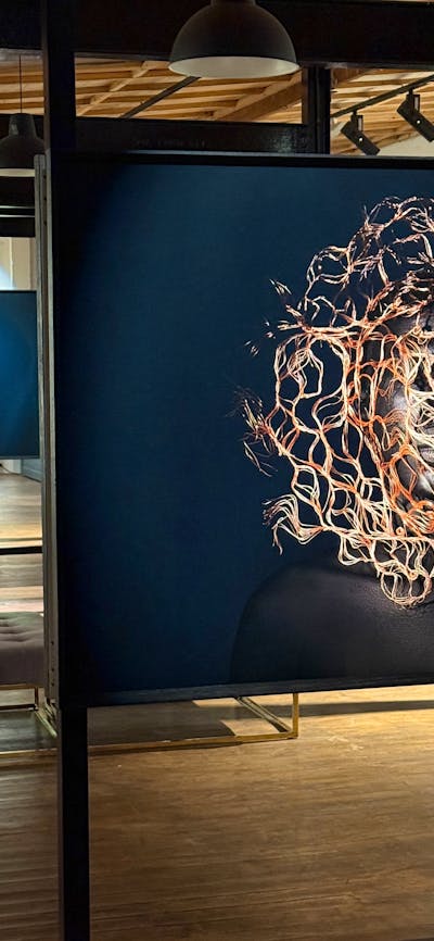 Feranda Pedroso exhibition