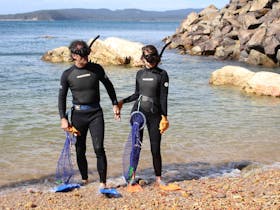 Father and daughter holding hands as they prepare to enter the water. Both wearing diving gear.