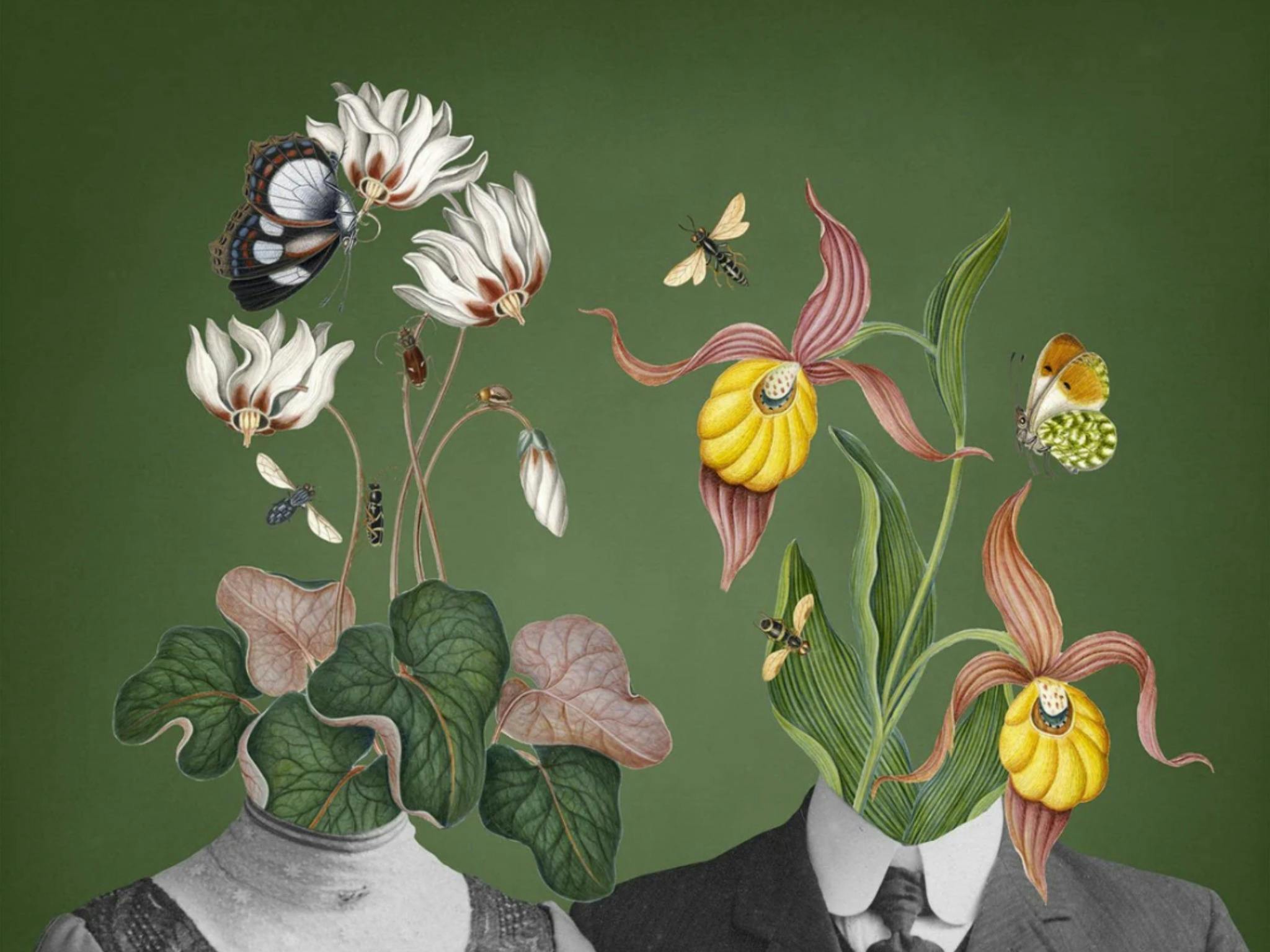 the bodies of a man and woman in black and white with colourful floral blooms instead of heads