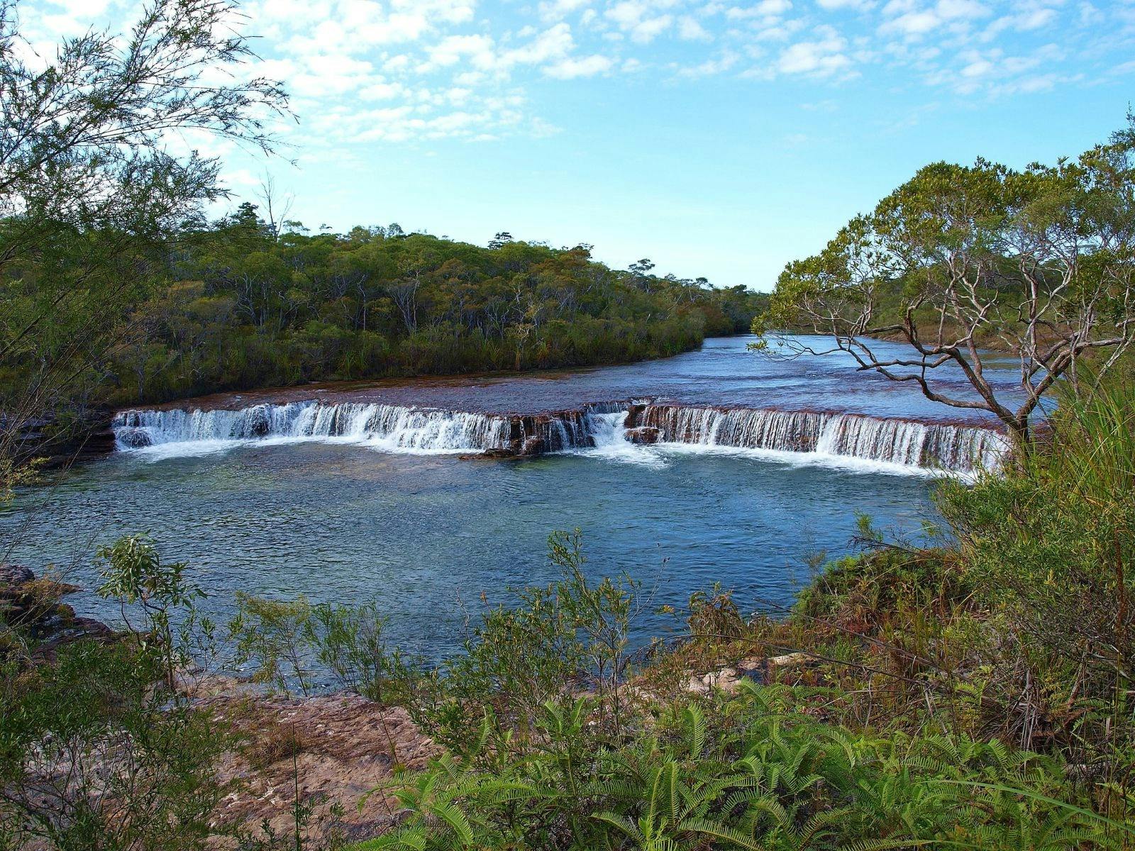 Fruit Bat Falls