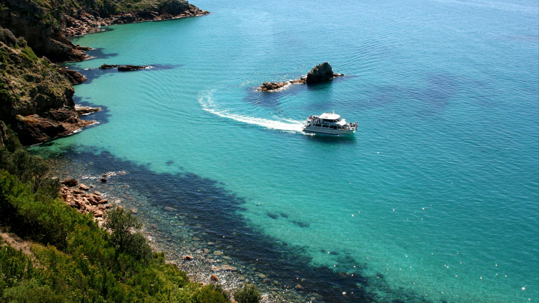 Cape Woolamai Cruise
