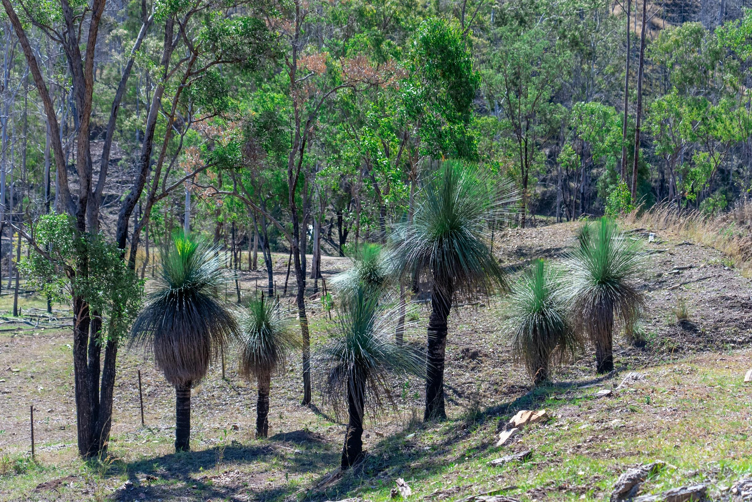 #gladstoneregiontours #gladstoneregion #southerngreatbarrierreef #thisisqueensland #seeaustralia