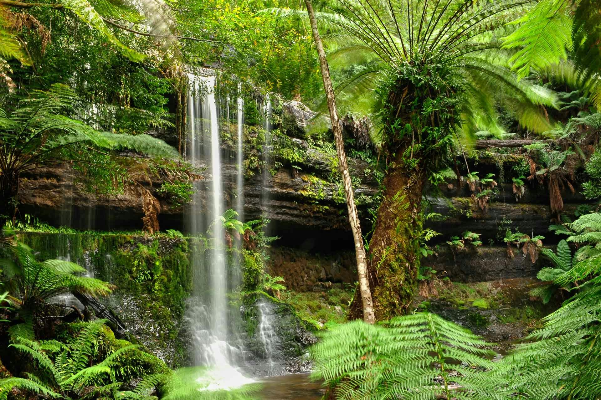 Outback Spirit Tours - Tasmania