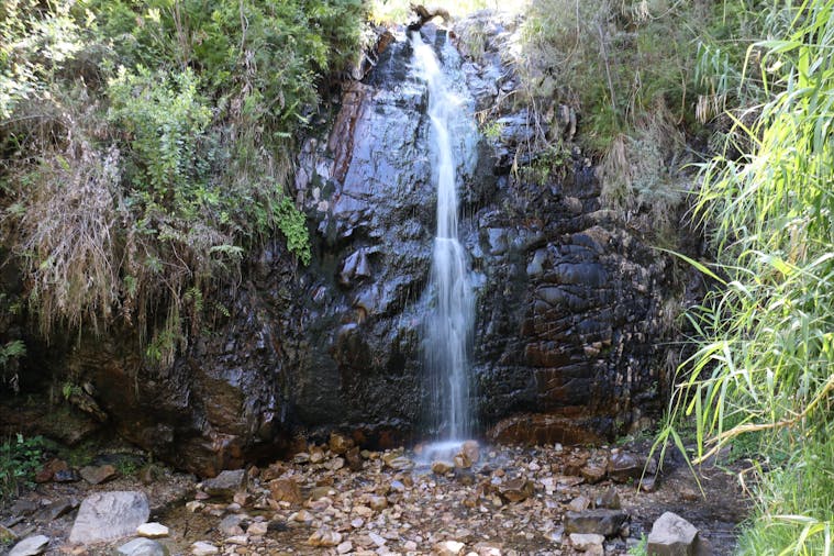 Waterfall Gully to Mount Lofty Hike