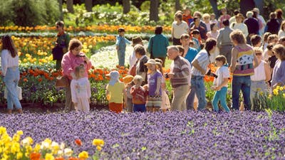Photograph of visitors at Floriade in 1988
