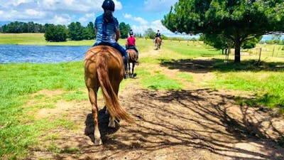 Gooromon Park Riding School