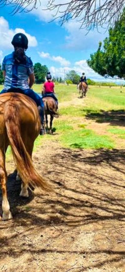 Gooromon Park Riding School