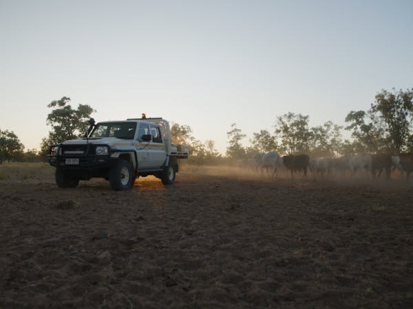 LandCruiser 70 Series mustering