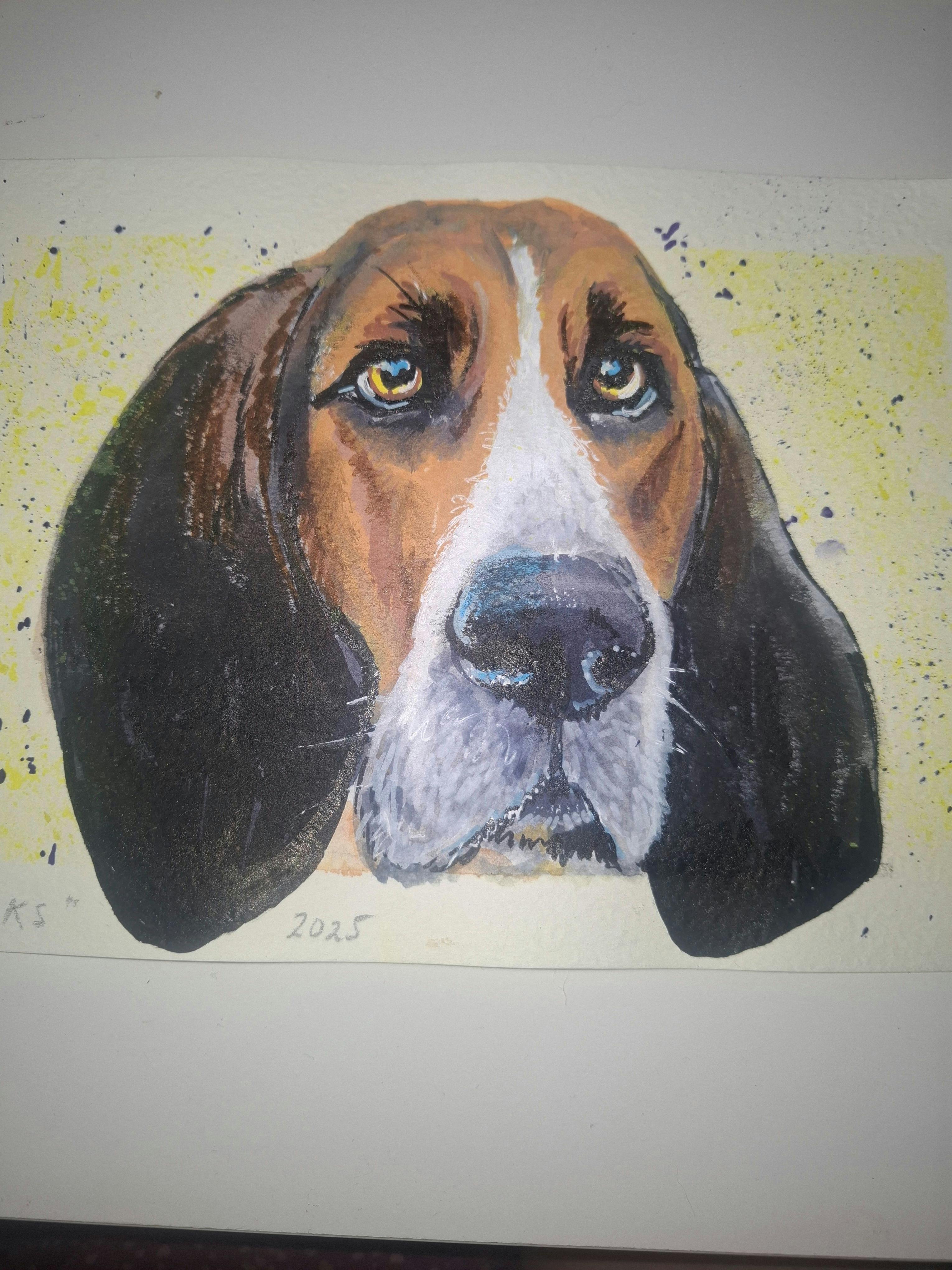 Brew Dog of the Month at Stony Creek Brewing Company