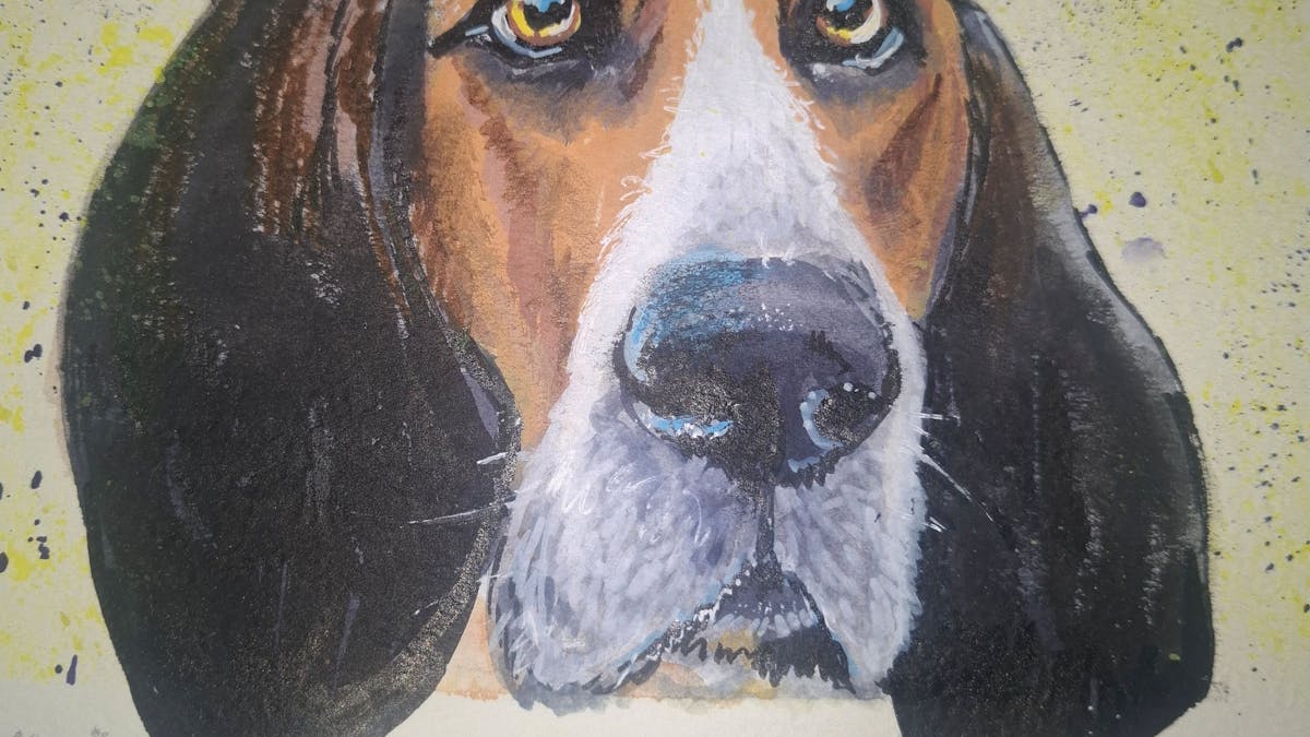 painting dog