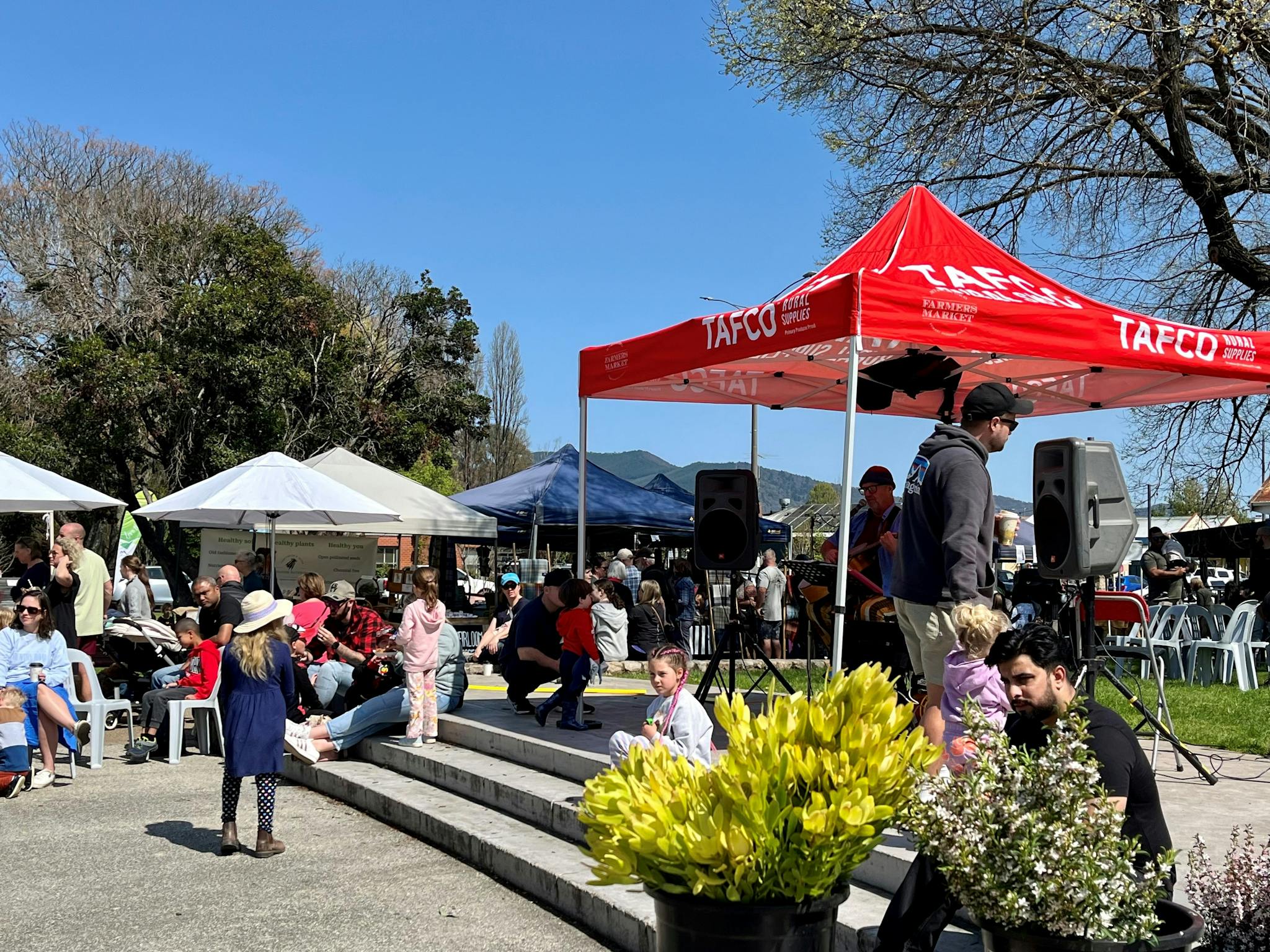 spring at the market