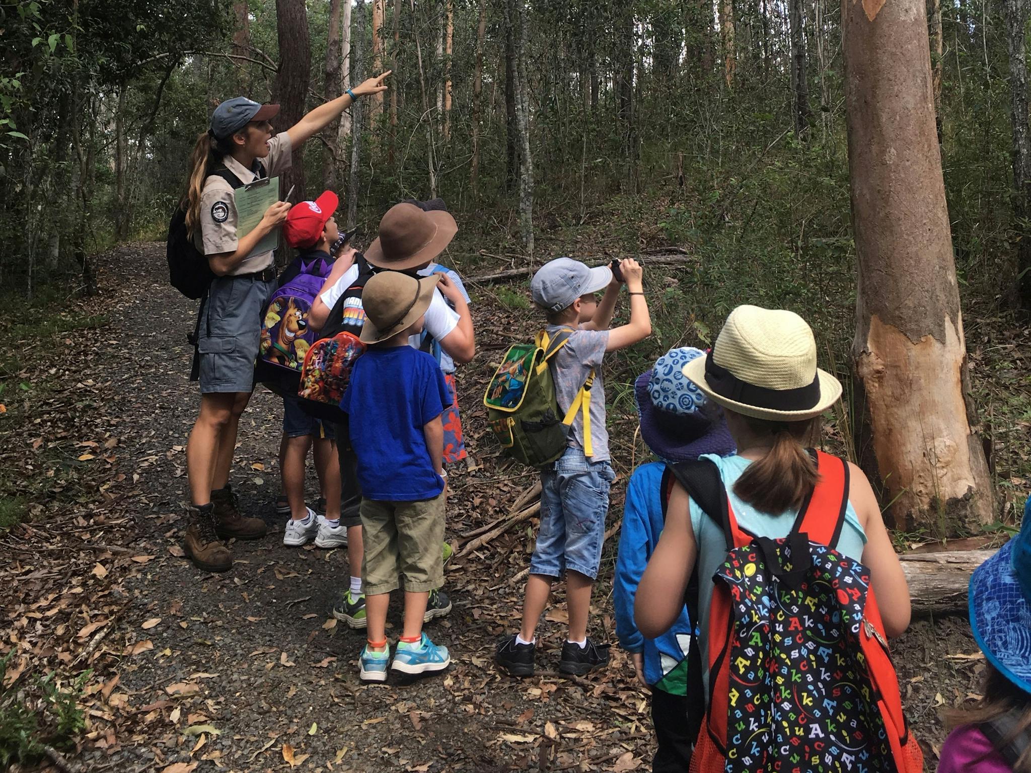 Group of children on a ranger-guided tour through forest Group of children on a ranger-guided tour through forest