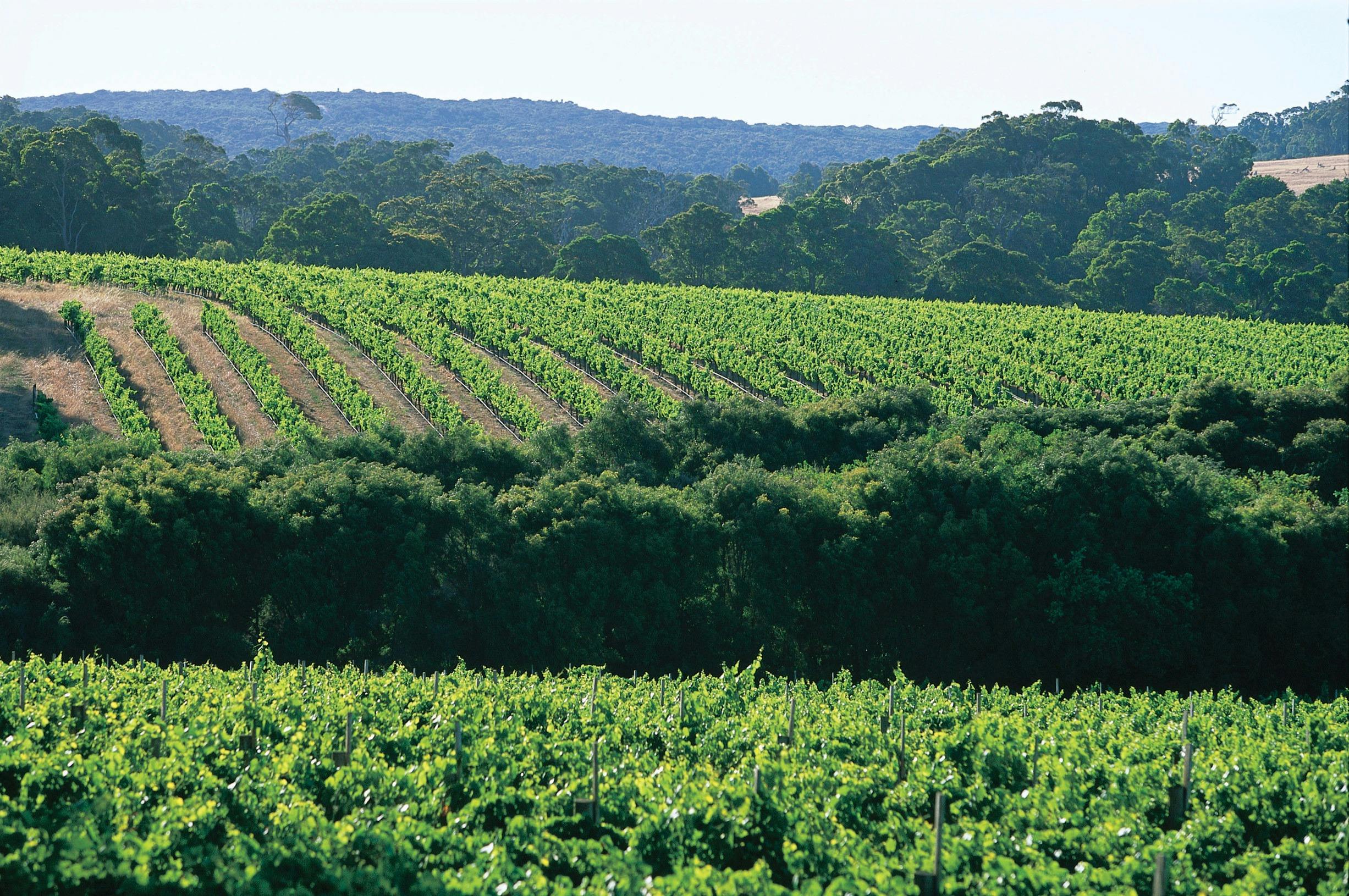 Margaret River Small Family Winery Trail