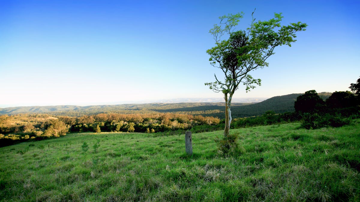 Gus Beutel Lookout, Ravensbourne