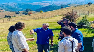 canberra wine tours