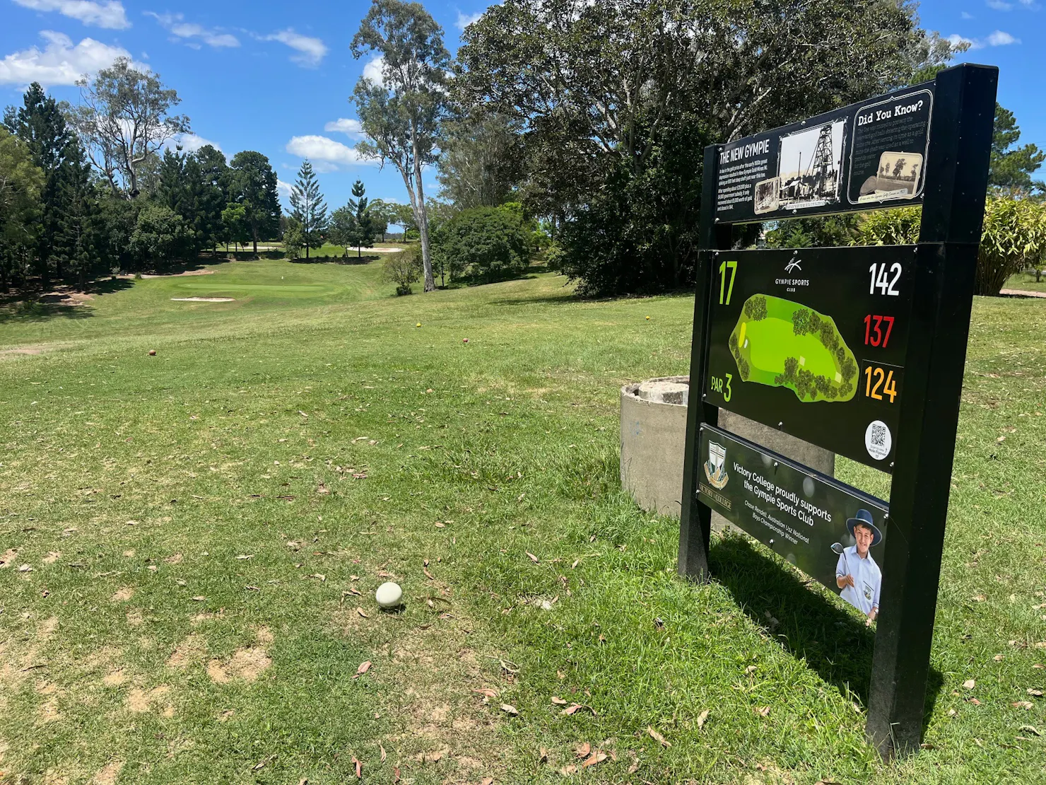 Partee Hole the par 3 17th