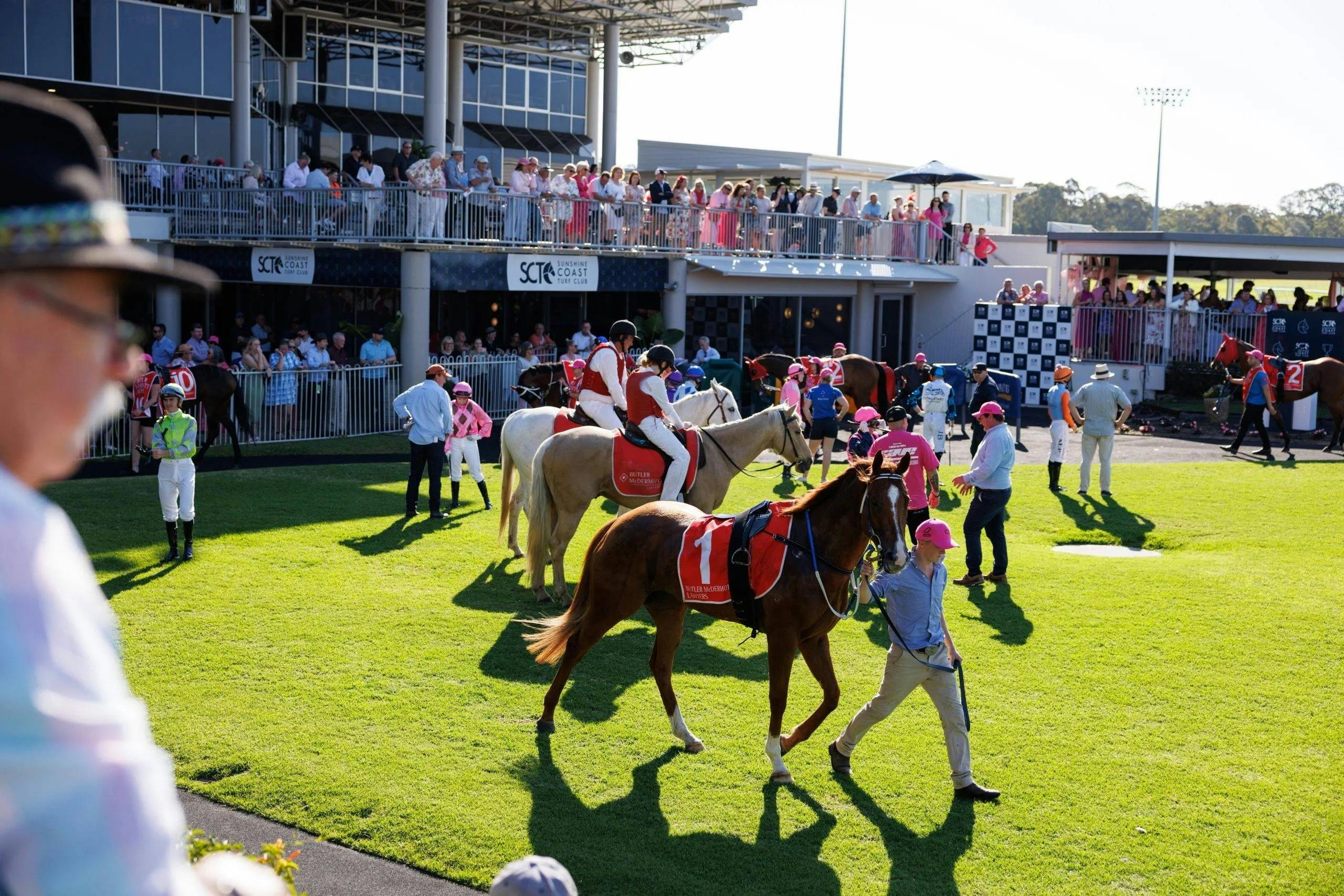 Sunshine Coast Pink Ribbon Raceday 2026 Visit Sunshine Coast