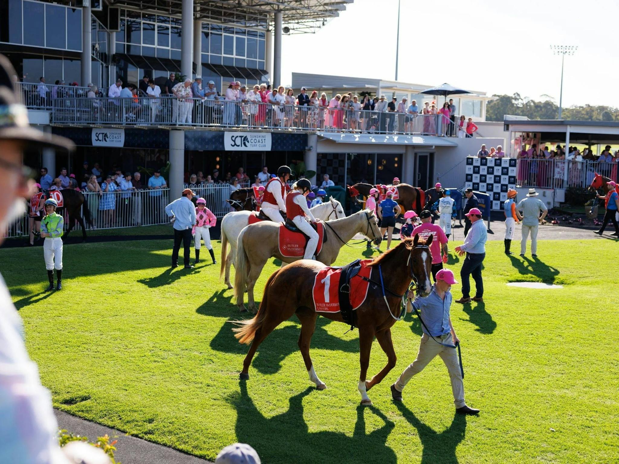 Sunshine Coast Pink Ribbon Raceday 2026 Visit Sunshine Coast Sunshine Coast Pink Ribbon Raceday 2026 Visit Sunshine Coast