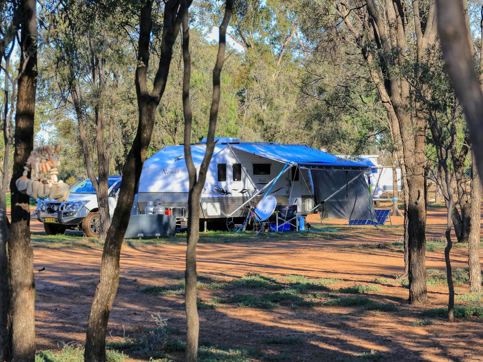 Carinya Races Carinya Station Farm Stay | NSW Holidays & Accommodation, Things to Do ...