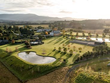 Linnaeus Farm Berry by Linnaeus Collection