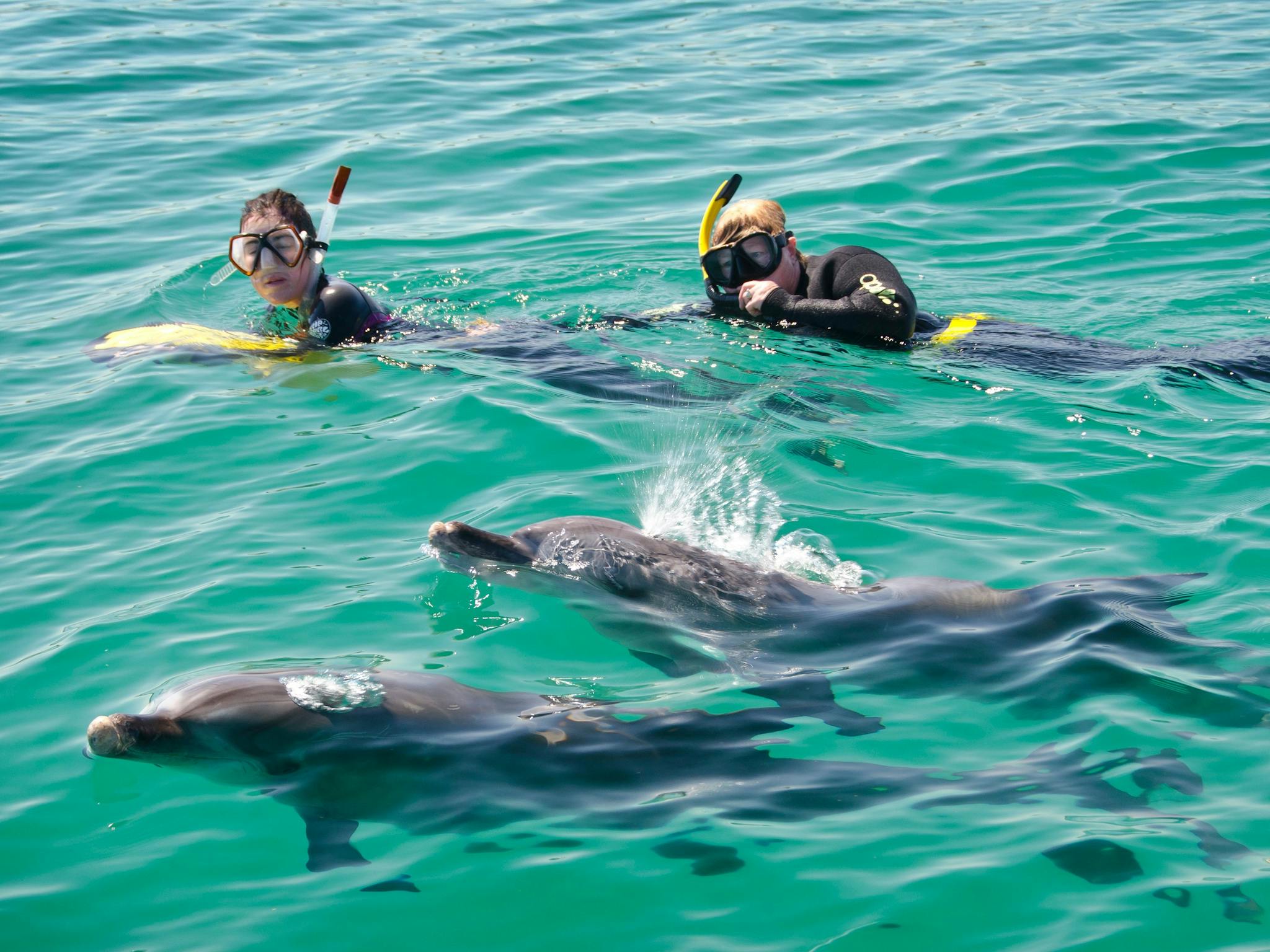 Rockingham Wild Encounters, Rockingham Beach, Western Australia