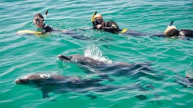Rockingham Wild Encounters, Rockingham Beach, Western Australia