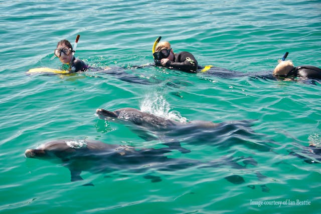 Rockingham Wild Encounters, Rockingham Beach, Western Australia