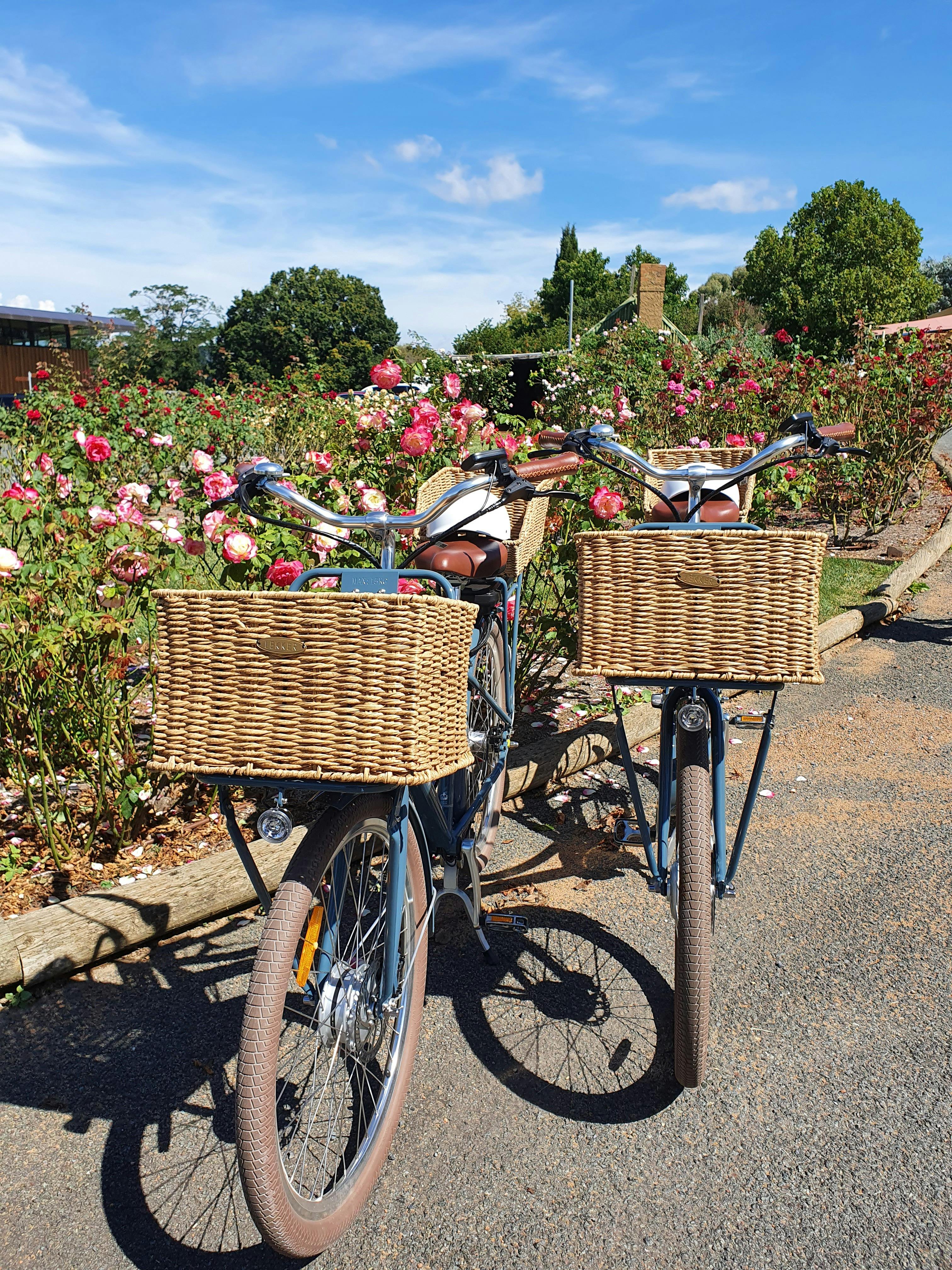 Image for Canberra Wine Region E-Bike Tours