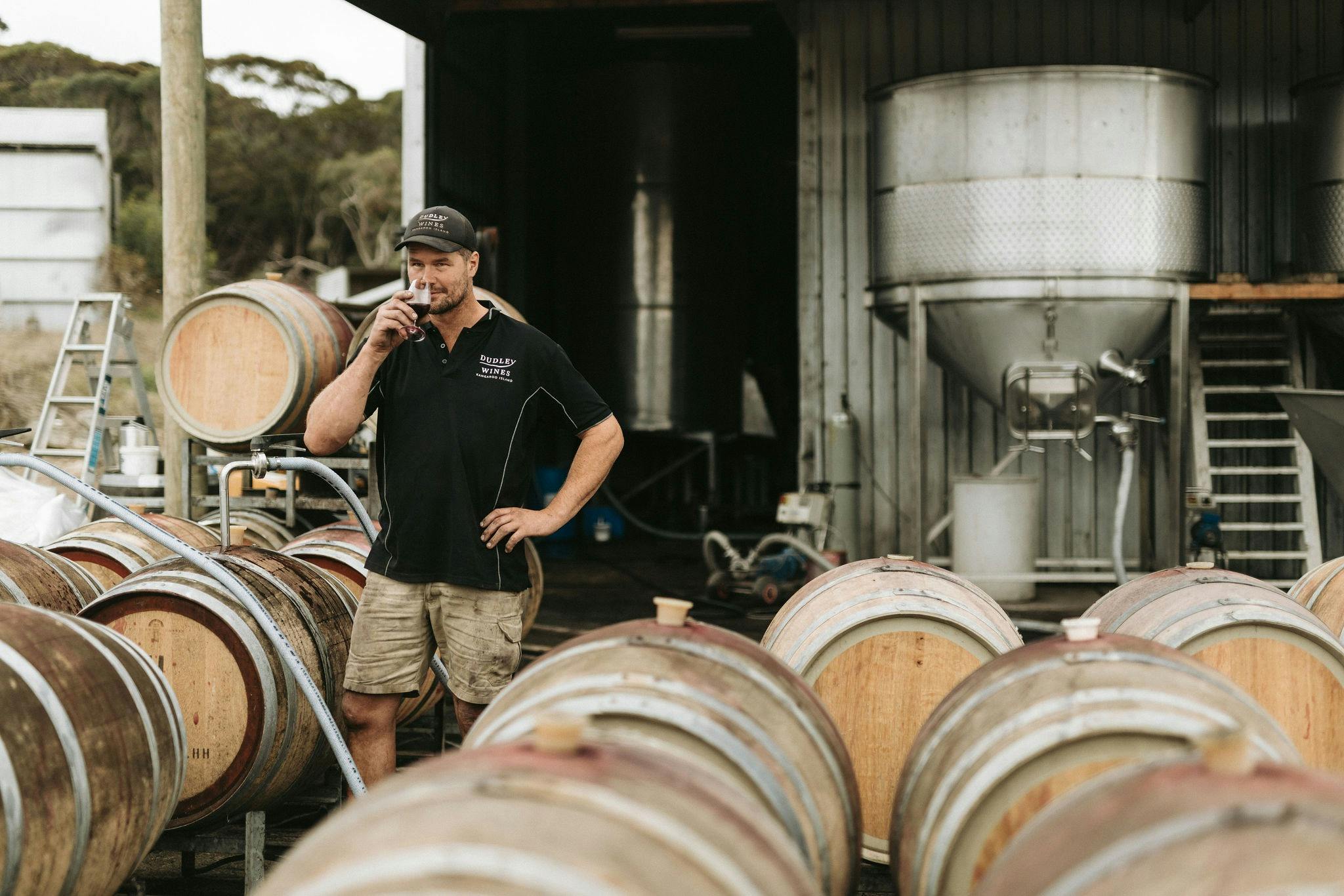 Dudley Wines