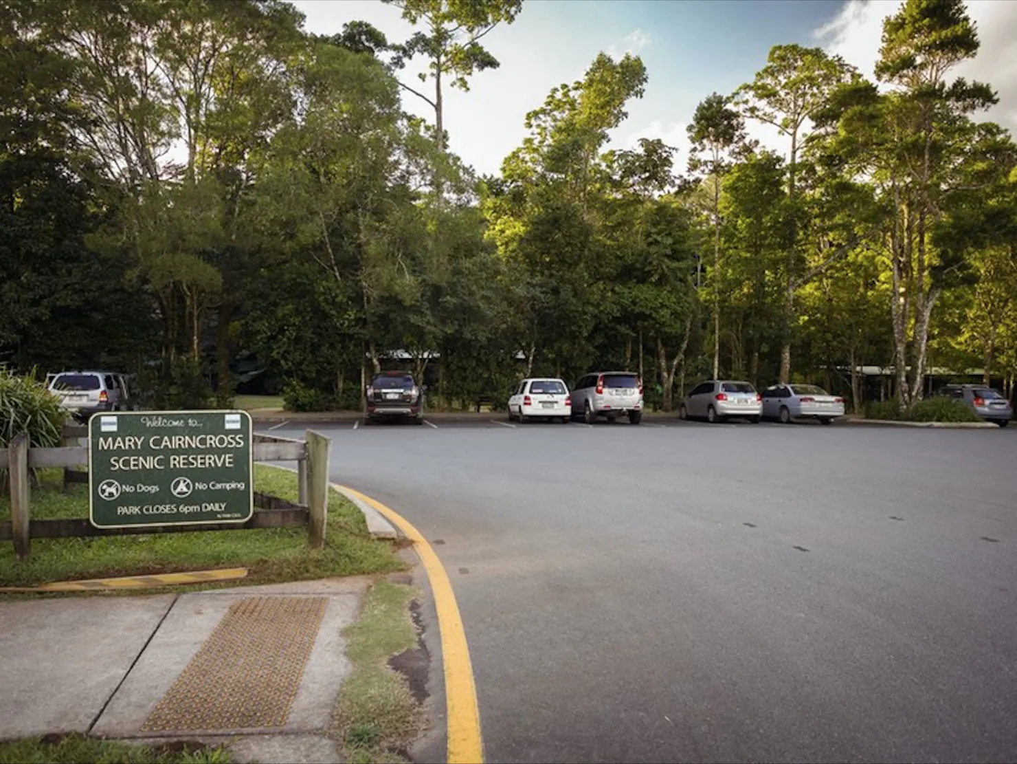 Mary Cairncross Scenic Reserve Rainforest Walk
