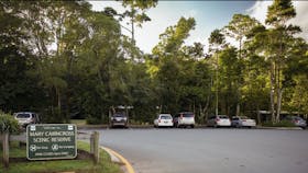 Mary Cairncross Scenic Reserve Rainforest Walk