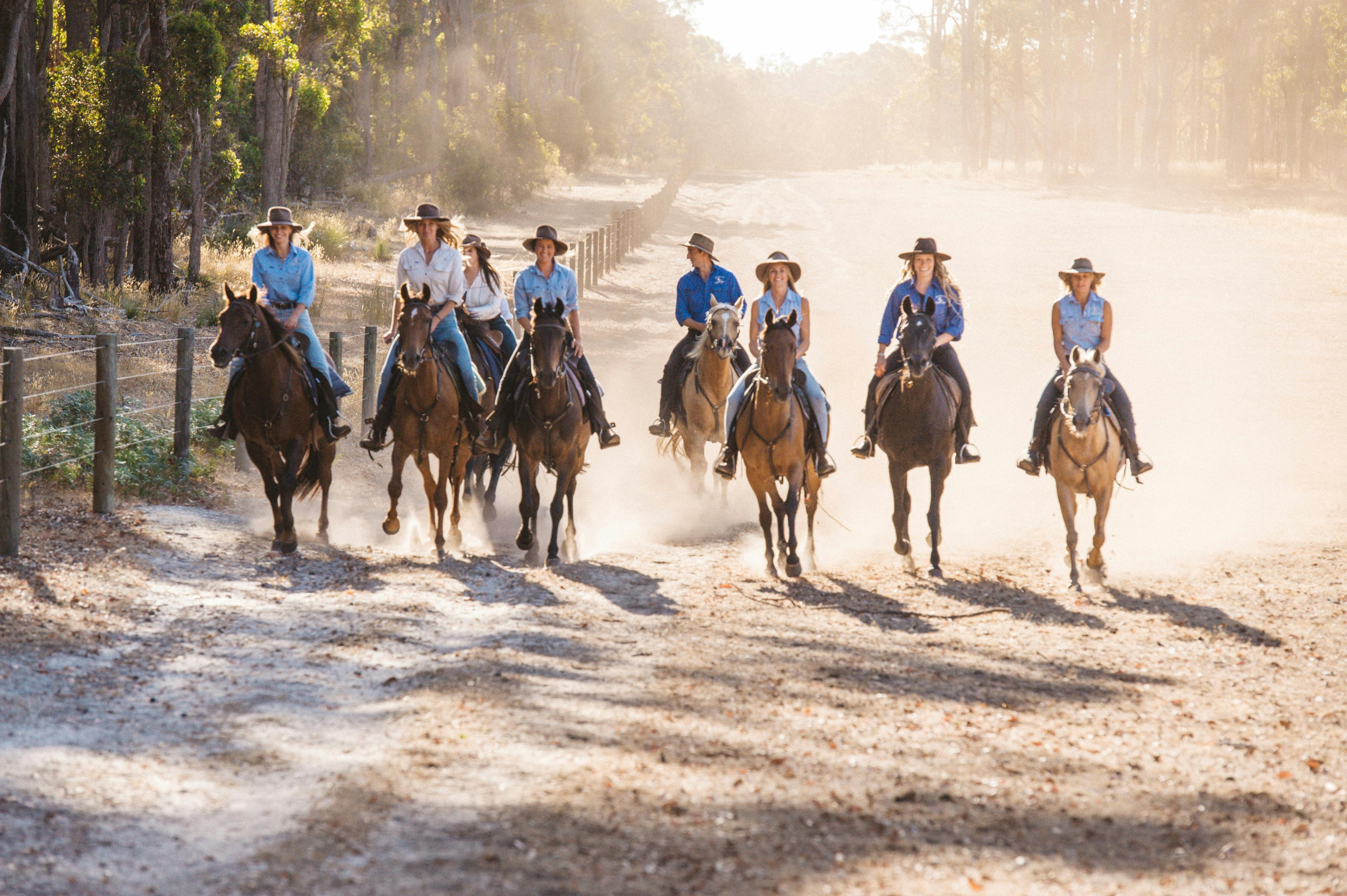 Country Lane Tour in Summer