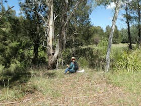 Guided Forest Therapy Walk at Umbagong District Park, Belconnen Cover Image