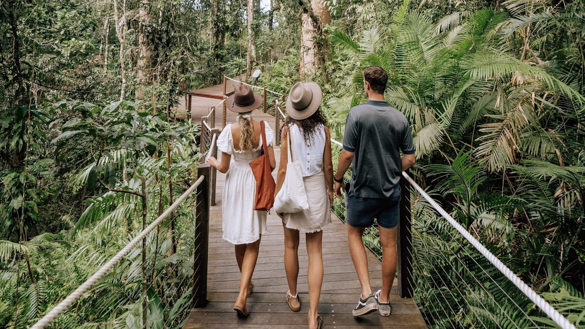 Autopia Via Travel - Cairns Rainforest Boardwalk