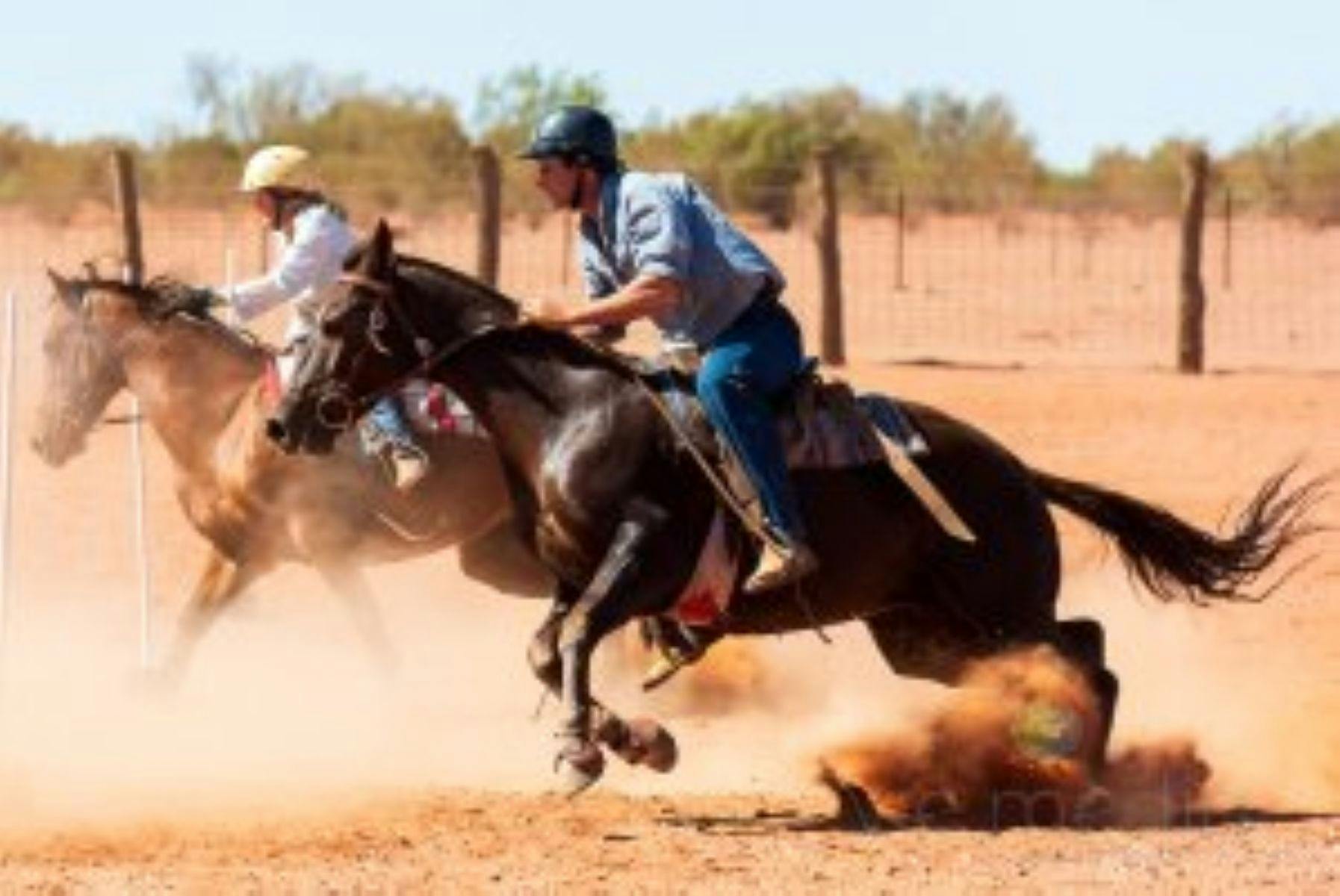 image of Riders and Horses