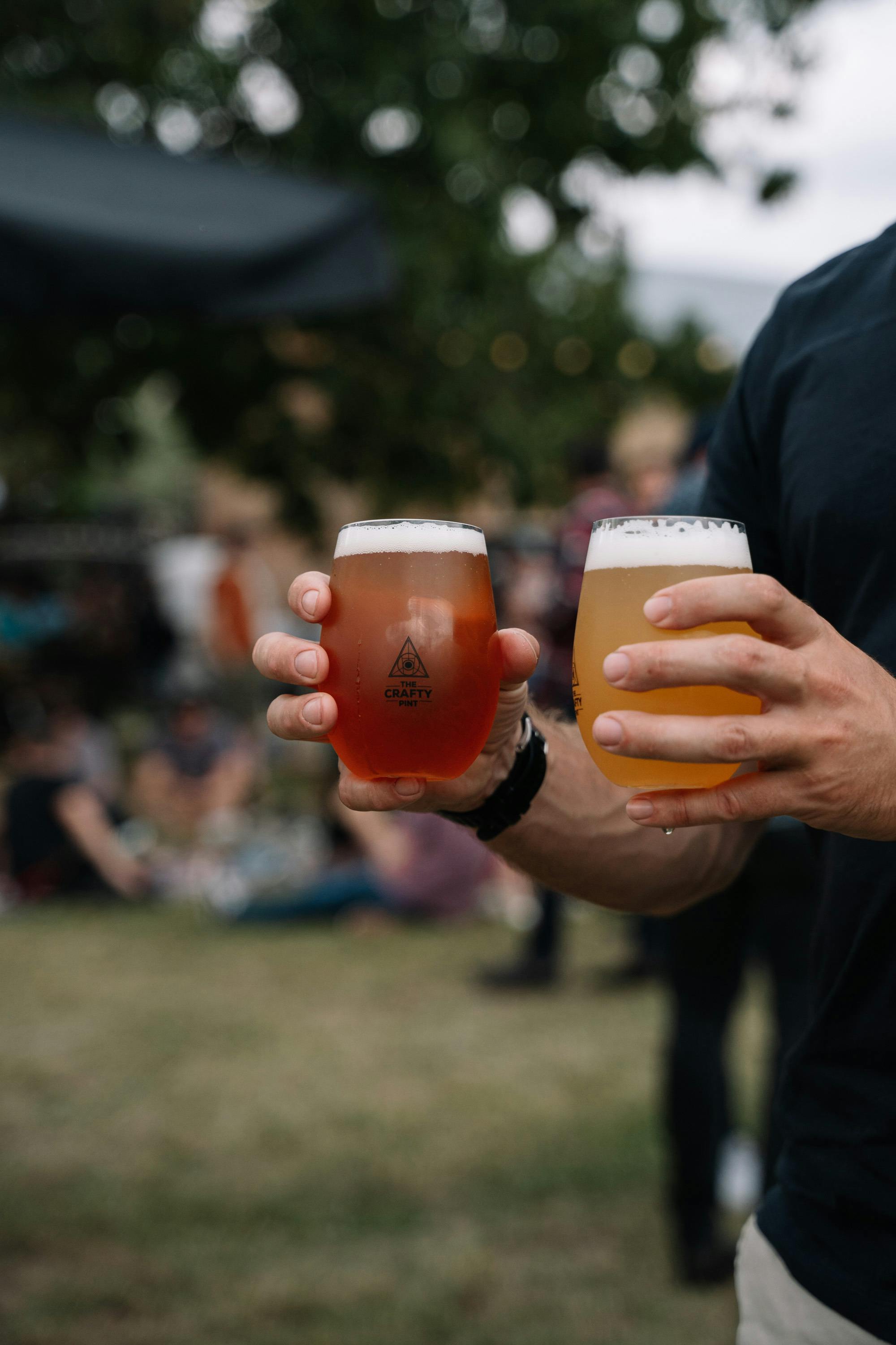 harvest beers high country hop